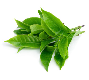 Zielona herbata - odchudza i oczyszcza